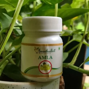 Ananthadhri Ayurveda Amla Tablets